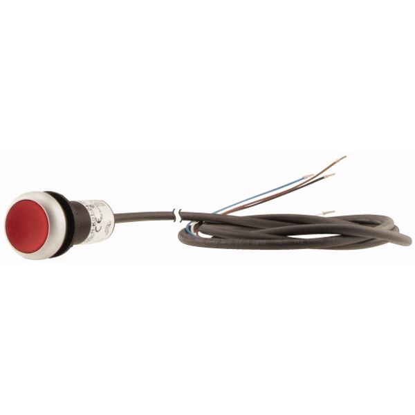 C22-DRL-R-K01-24-P65 Illuminated pushbutton actuator, classic, flat, maintained, 1 N/C, red, 24 V AC/DC, cable (black) with non-terminated end, 4 pole, 3.5 m image 3