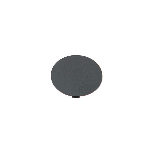 M22-XDP-S Button plate, mushroom black, blank image 10