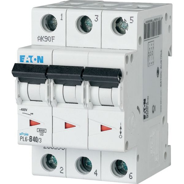 PL6-D40/3 Miniature circuit breaker (MCB), 40 A, 3p, characteristic: D image 1