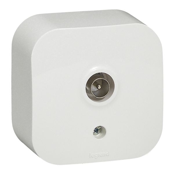 Television socket Forix - surface mounting - IP 2X - male connector - white image 1