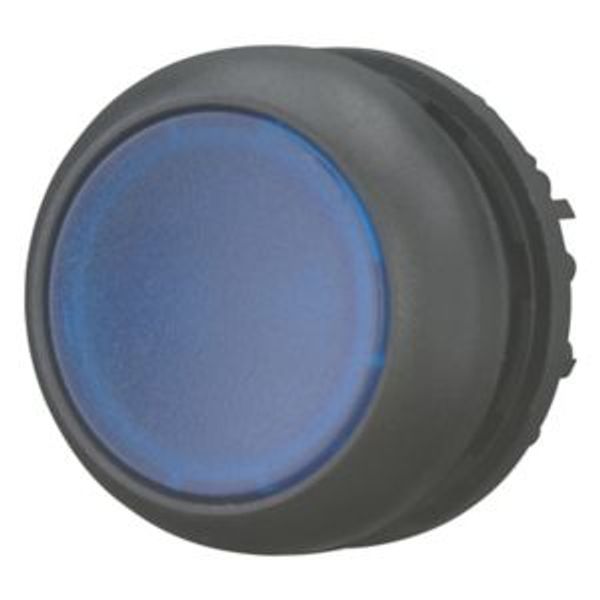 M22S-DL-B Illuminated pushbutton actuator, RMQ-Titan, Flush, momentary, Blue, Blank, Bezel: black image 2