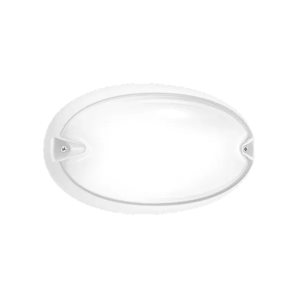 CHIP OVALE 25 WIT E27 image 3