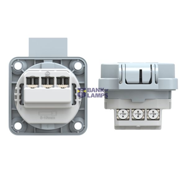 MD25 image 2