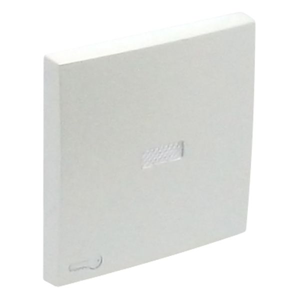 ROCK F/LIGHT SWITCH/PUSH-BUT W/LOCK SYMB ICE image 2