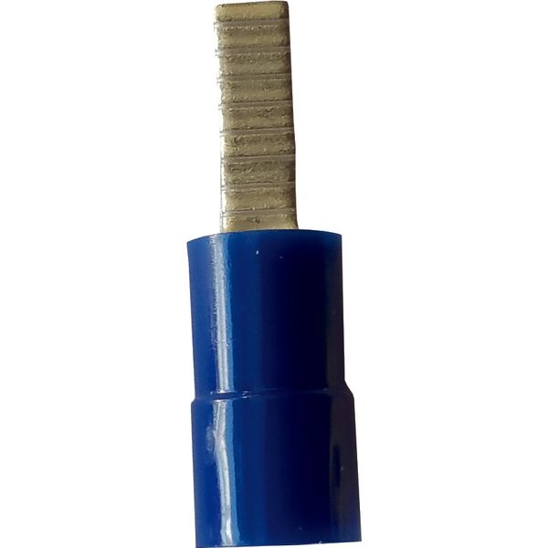 Fichero: Ter pala preai azul.jpg image 1