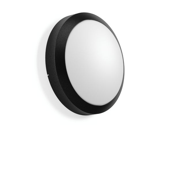 ROUNDED MAXI, 20 W, 1050 lm, 830, anthracite, on/off Ceiling and wall  image 1