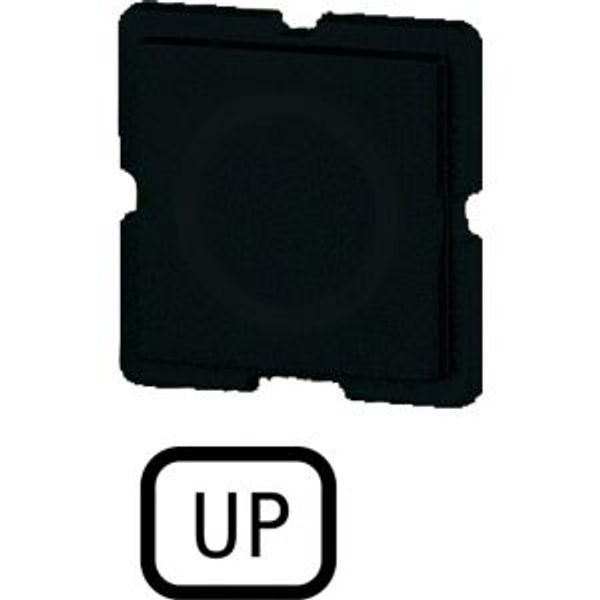 272TQ25 Button plate for push-button, Inscription: UP, 25 x 25 image 4