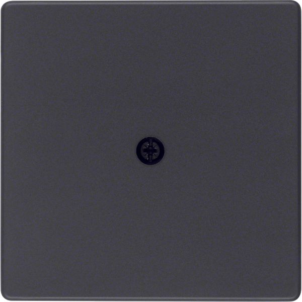 Centre plate for cable out., Q.1/Q.3, ant. velvety, lacq. image 3