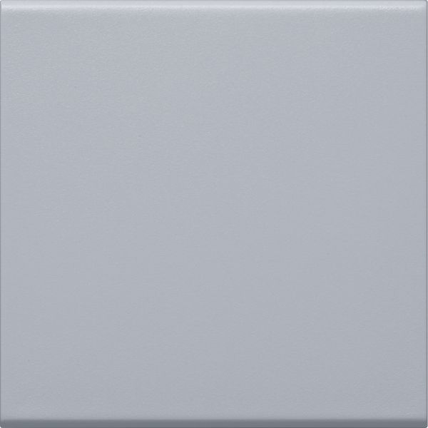 Rocker 1-gang Switch/Button, alu image 3