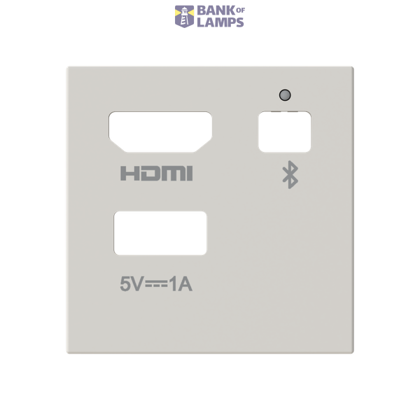 Cover plate for multimedia module - 2M - Dune image 1
