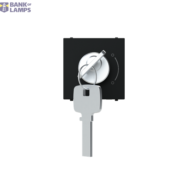 Key switch 2 positions - 2M - Matt Black image 1