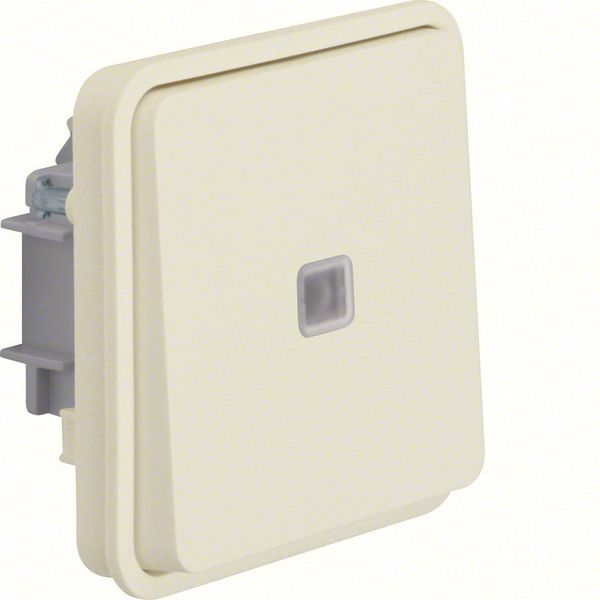 Illuminated change-over switch insert rocker urf.-/flushmtd,lens,W.1,p.wh. image 1