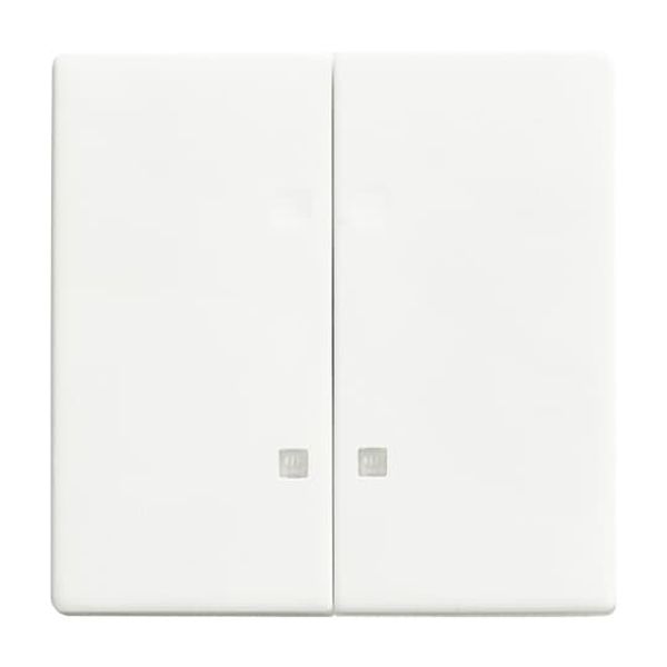 1785 K-884-500 Mechanical Controls None for Switch/push button, Two-part rocker studio white matt - 63x63 image 3