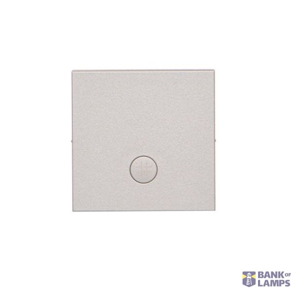Single button for switches and push buttons, matt aluminum image 1