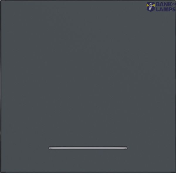 Rocker single, clear lens, A.x/C.x, anthracite image 1