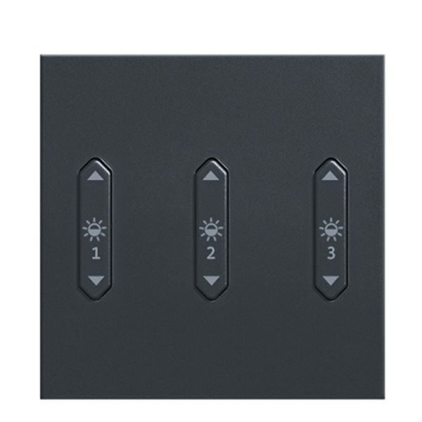 LM-RCB3 b+c+j - Rocker switch, 3x, light, anthracite image 1
