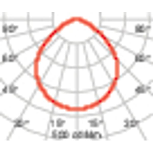 DL ROUND MAXI 14 C/EW 930 WIT+NOOD1-3H image 4