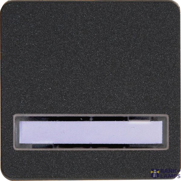 HK02 - Surface rocker with label field, color: anthracite image 1