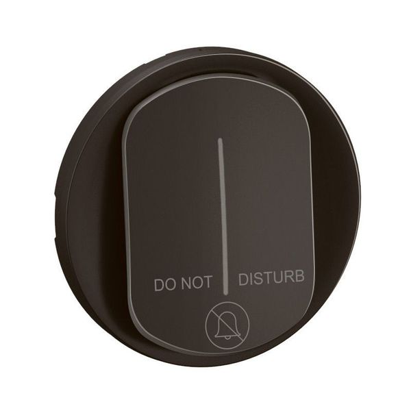 INDICATOR LAMP ROCKER BLACK image 2