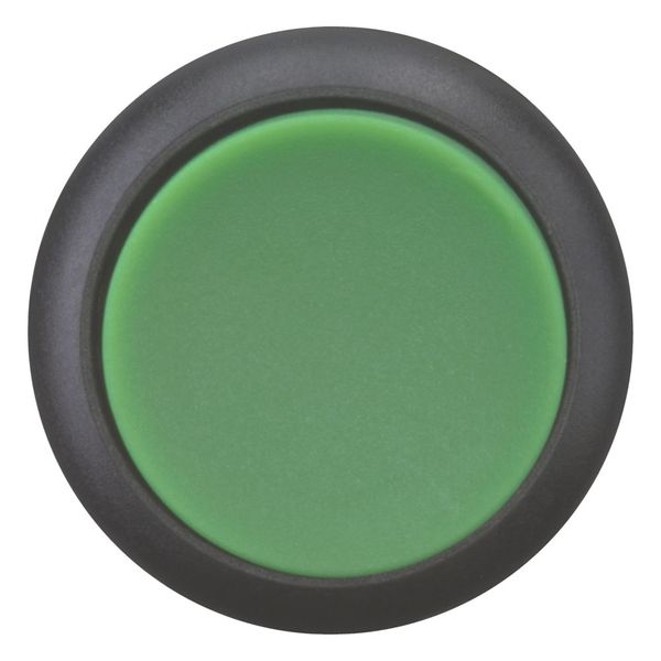 M22S-DRH-G Pushbutton, RMQ-Titan, Extended, maintained, green, Blank, Bezel: black image 10