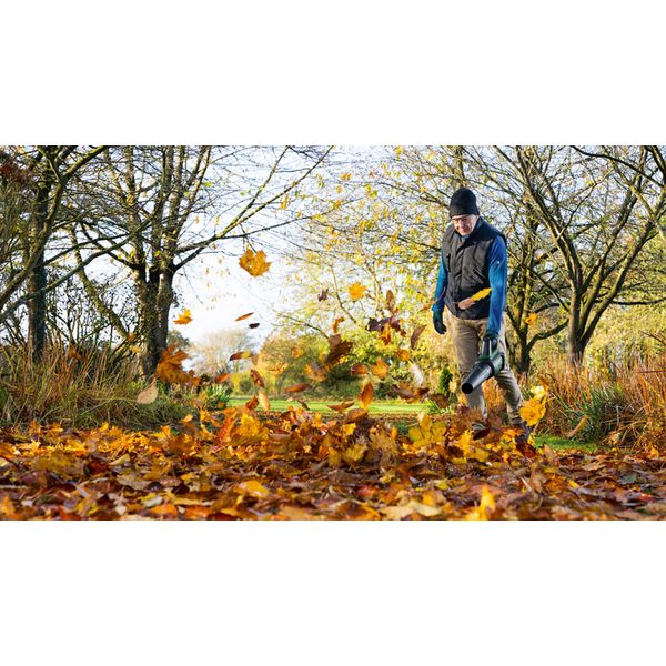 AdvancedLeafBlower 36V-750, 1x2,0Ah, AL 3620 CV image 2