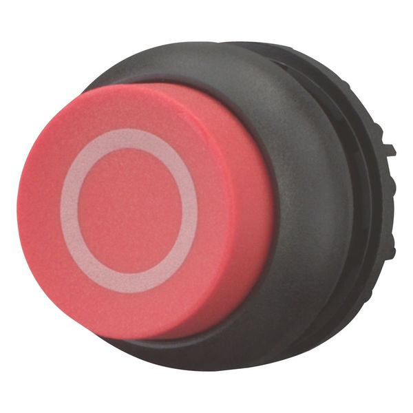 M22S-DH-R-X0 Pushbutton, RMQ-Titan, Extended, momentary, red, inscribed, Bezel: black image 6