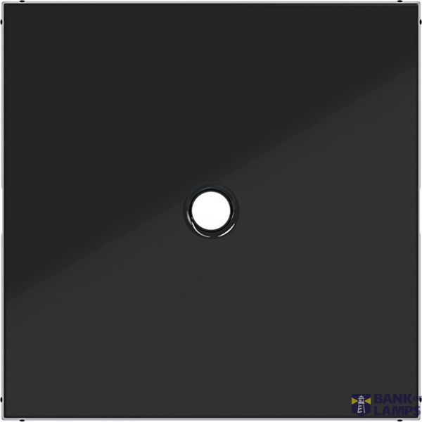 Central plate for switch/push button with pull handle, A.x/C.x, black glass. image 1