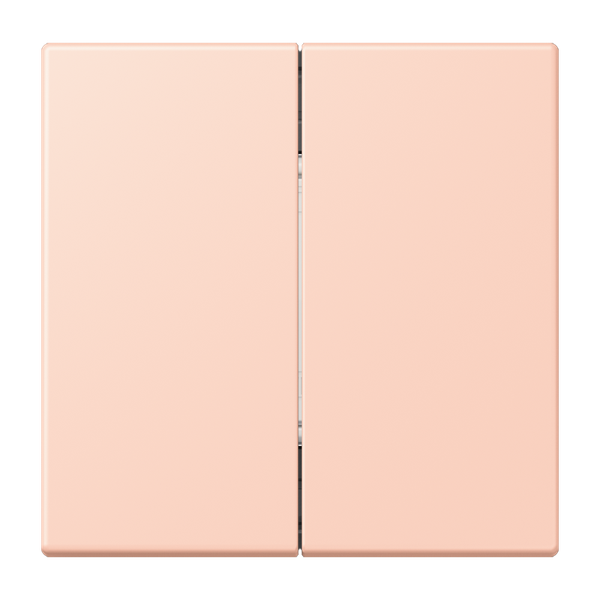Friends of Hue radio transmitter LC32112 FOHLC995234 image 1