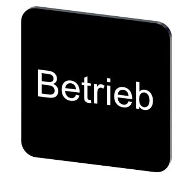 Labeling plate 22 x 22 mm, label black, labeling: Betrieb image 1