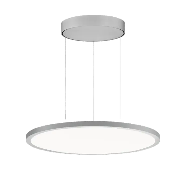 FL R+ 555 PL 23 S/A 830 GR9006 DALI OP image 1