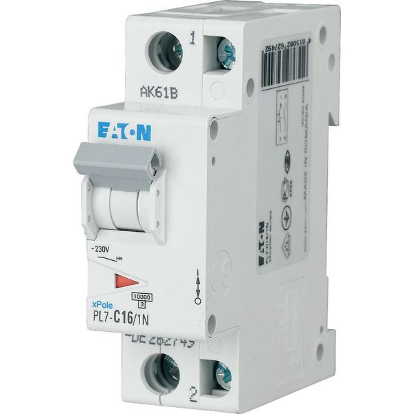 PL7-B16/1N Miniature circuit breaker (MCB), 16 A, 1p+N, characteristic: B image 2