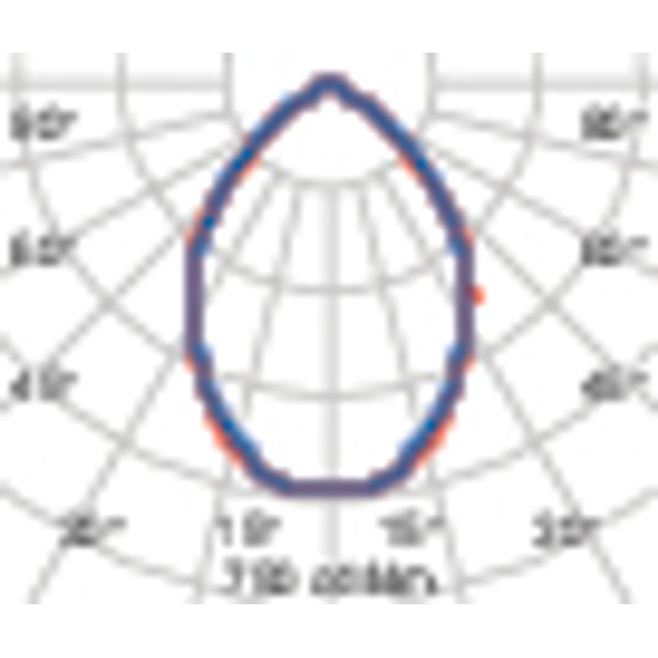 WIN PRO+ 20 70 S/EW 730 GR94 DALI image 4