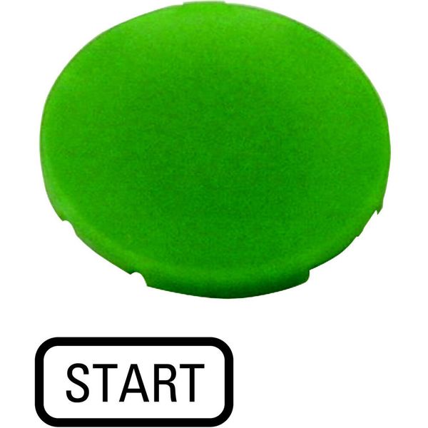M22-XD-G-GB1 Button plate, flat green, START image 4