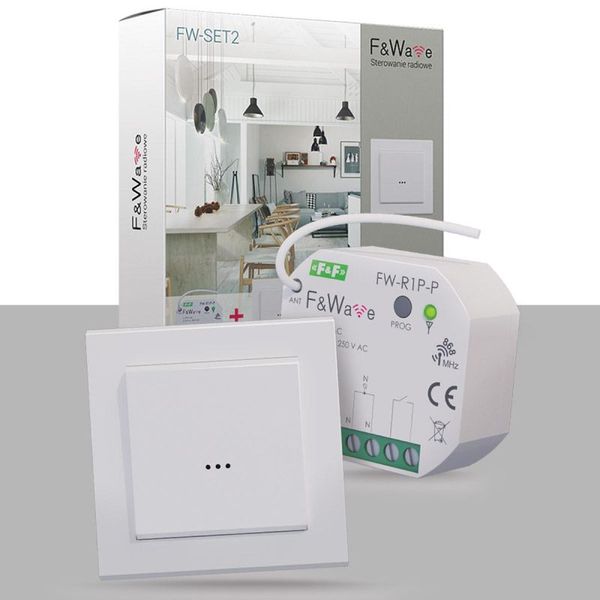 FW-R1P-P image 1