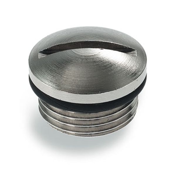 Protected component assemblies, Protective cap image 1
