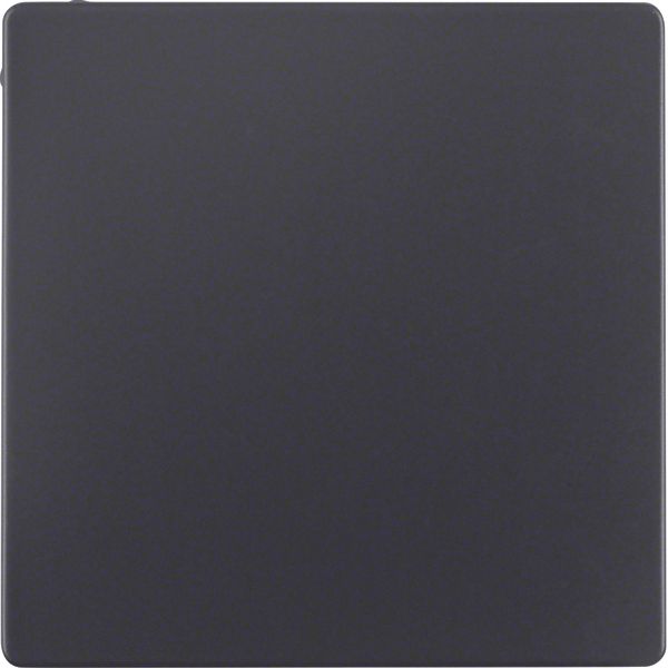 Blind plug for bus coupling unit, KNX - Q.1/Q.3, ant. velvety, lacq. image 3