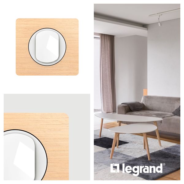 PLATE 3 GANG BEECH image 5