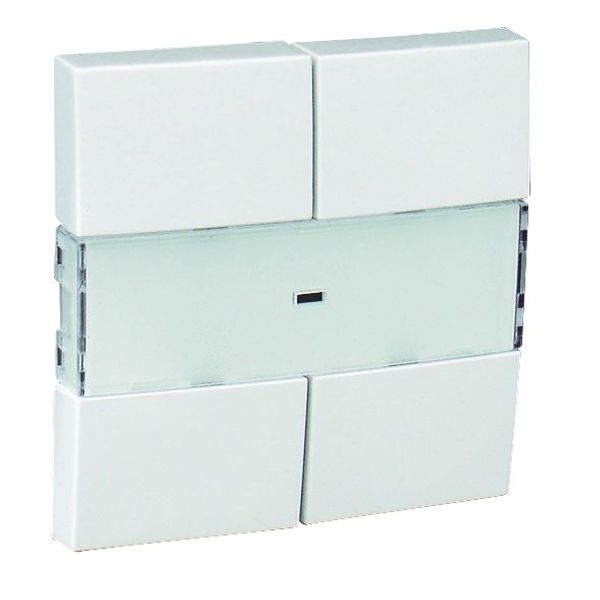 QUADRUPLE ROCKER ICE image 1