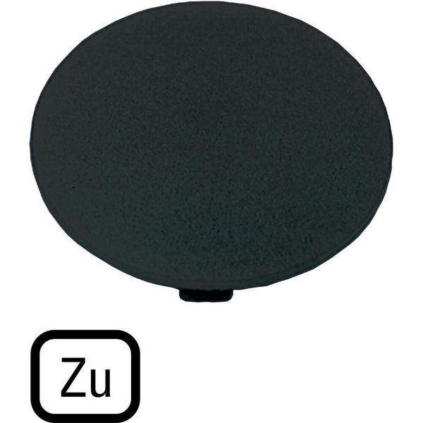 M22-XDP-S-D2 Button plate, mushroom black, TO image 4