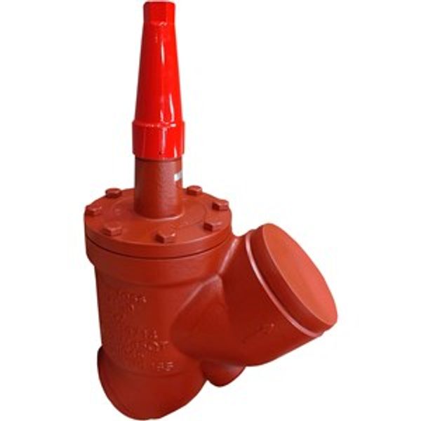 SVA-S 200 D STR STOP VALVE CAP PS52 image 1