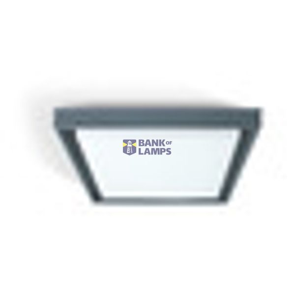 ANTHRACITE PLAFO LED 30W WW IP54 230V image 2