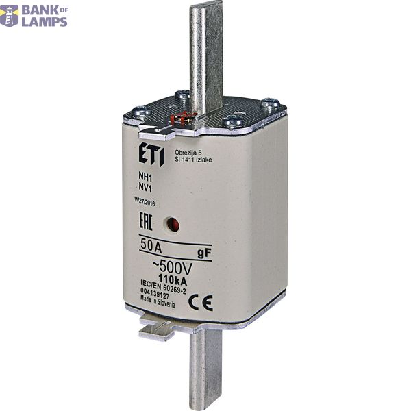 NH1/WT-1 gF 50A/500V G image 1