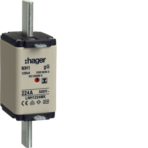 NH1-Fuse-link 224A 500V gG twin-Indicator insulated gripping lugs image 1