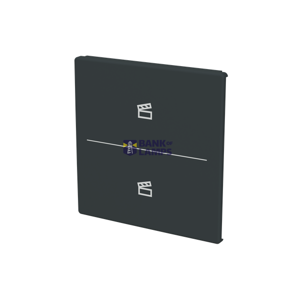 ESP RLA HD-2 module image 2