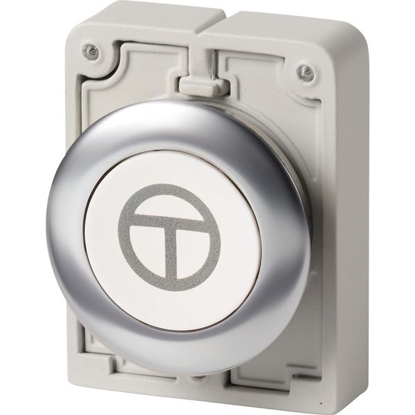 M30I-FD-W-X11 Pushbutton, RMQ-Titan, flat, momentary, White, inscribed, Front ring stainless steel, ON/OFF image 4