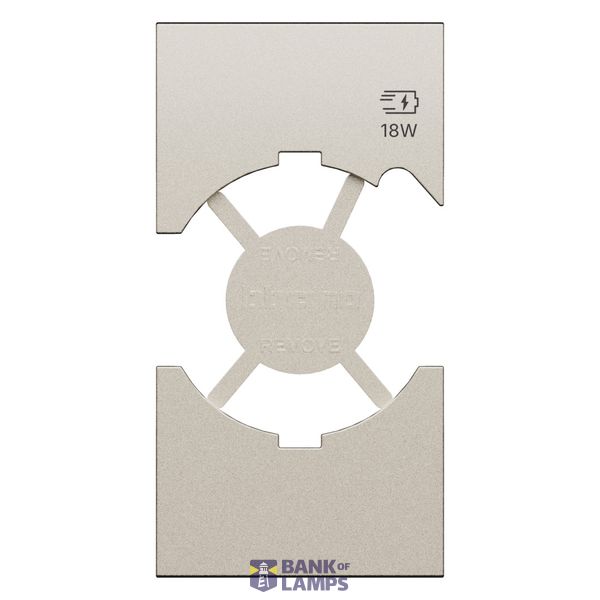 L.NOW - SOCKET P40+USB COVER 2M CHAMPAGNE image 1