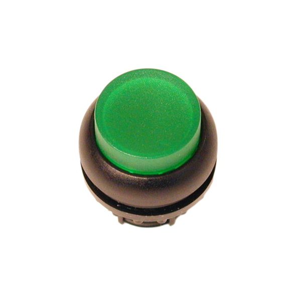 M22S-DLH-G Illuminated pushbutton actuator, RMQ-Titan, Extended, momentary, green, Blank, Bezel: black image 1
