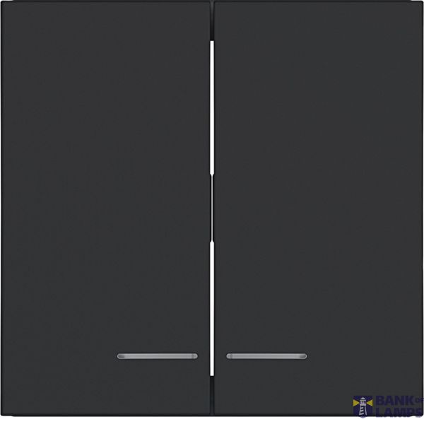 Rocker 2x, clear lens, A.x/C.x, night black matte image 1
