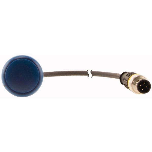 C22-L-B-24-P5 Indicator light, Flat, Cable (black) with M12A plug, 4 pole, 1 m, Lens Blue, LED Blue, 24 V AC/DC image 2