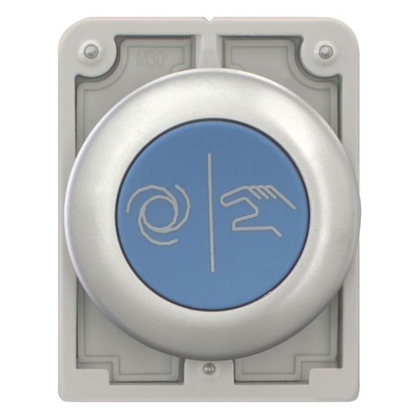 M30C-FD-B-X217 Pushbutton, RMQ-Titan, Flat, momentary, Blue, inscribed, Metal bezel image 3